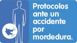 PROTOCOLO ANTE UN ACCIDENTE POR MORDEDURA